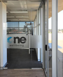 Frameless Glass Entry Door