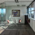 Frameless Office Partition/Door